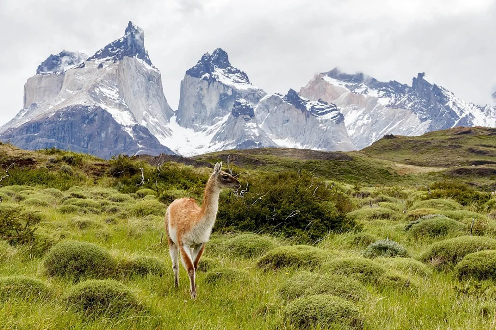 Torres del Paine — momento 3