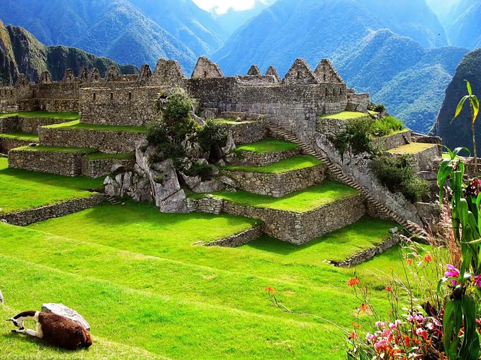 Cusco y Machu Picchu — momento 5